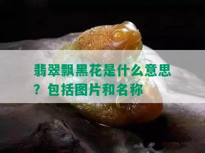 翡翠飘黑花是什么意思？包括图片和名称