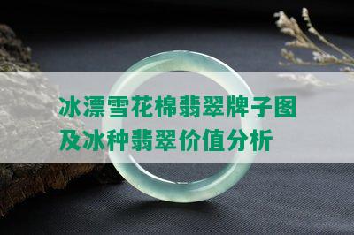 冰漂雪花棉翡翠牌子图及冰种翡翠价值分析