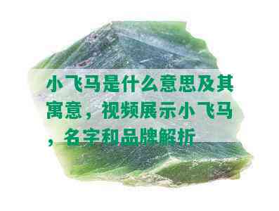 小飞马是什么意思及其寓意，视频展示小飞马，名字和品牌解析