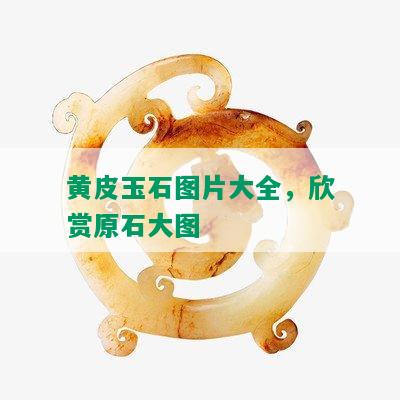 黄皮玉石图片大全，欣赏原石大图