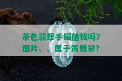 茶色翡翠手镯值钱吗？图片、、属于黄翡翠？