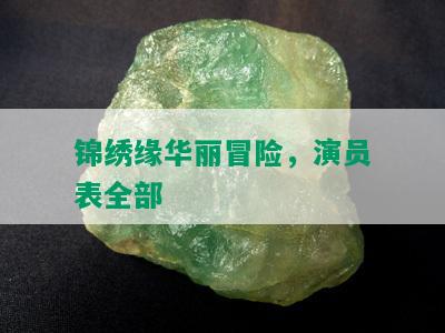 锦绣缘华丽冒险，演员表全部