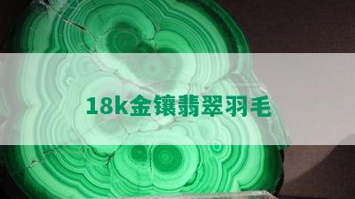 18k金镶翡翠羽毛