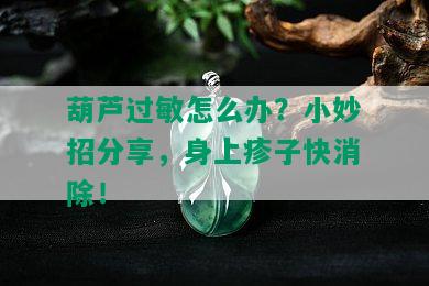 葫芦过敏怎么办？小妙招分享，身上疹子快消除！