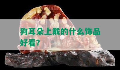 狗耳朵上戴的什么饰品好看？