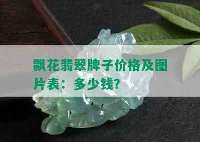 飘花翡翠牌子价格及图片表：多少钱？