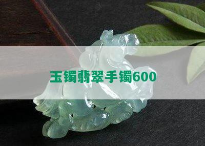 玉镯翡翠手镯600