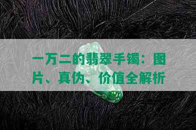 一万二的翡翠手镯：图片、真伪、价值全解析