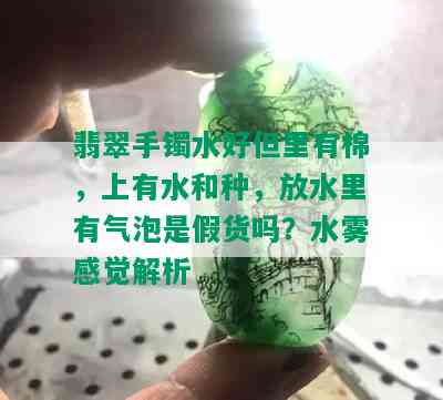 翡翠手镯水好但里有棉，上有水和种，放水里有气泡是假货吗？水雾感觉解析