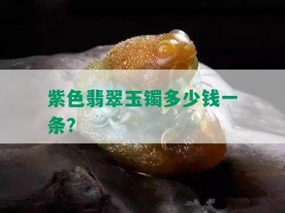 紫色翡翠玉镯多少钱一条？