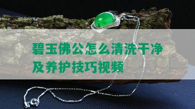 碧玉佛公怎么清洗干净及养护技巧视频