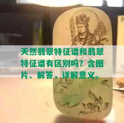 天然翡翠特征谱和翡翠特征谱有区别吗？含图片、解答，详解意义。