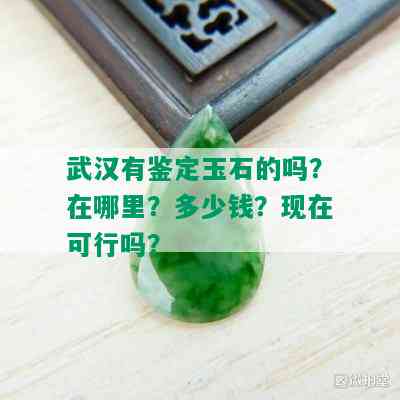 武汉有鉴定玉石的吗？在哪里？多少钱？现在可行吗？