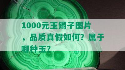 1000元玉镯子图片，品质真假如何？属于哪种玉？