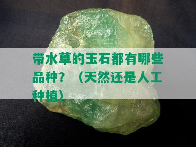 带水草的玉石都有哪些品种？（天然还是人工种植）