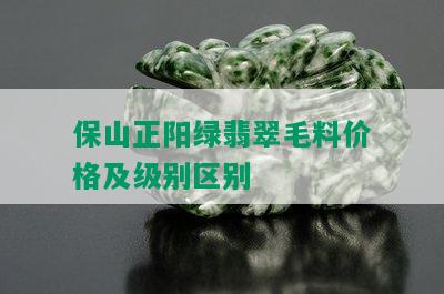 保山正阳绿翡翠毛料价格及级别区别