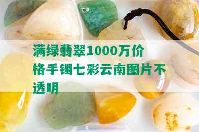 满绿翡翠1000万价格手镯七彩云南图片不透明