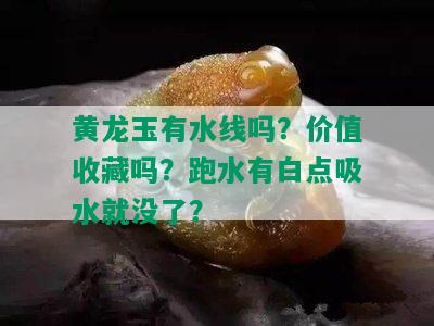 黄龙玉有水线吗？价值收藏吗？跑水有白点吸水就没了？