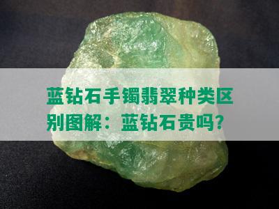 蓝钻石手镯翡翠种类区别图解：蓝钻石贵吗？