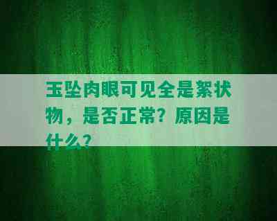 玉坠肉眼可见全是絮状物，是否正常？原因是什么？