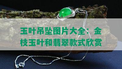 玉叶吊坠图片大全：金枝玉叶和翡翠款式欣赏