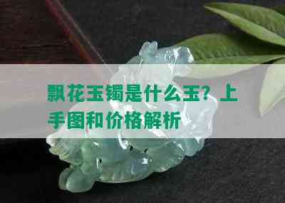 飘花玉镯是什么玉？上手图和价格解析