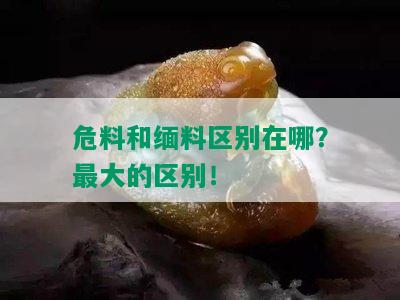 危料和缅料区别在哪？更大的区别！