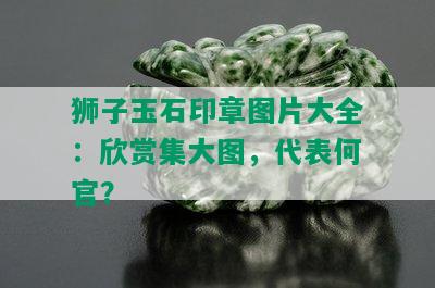 狮子玉石印章图片大全：欣赏集大图，代表何官？