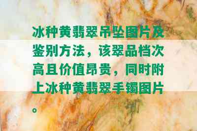 冰种黄翡翠吊坠图片及鉴别方法，该翠品档次高且价值昂贵，同时附上冰种黄翡翠手镯图片。