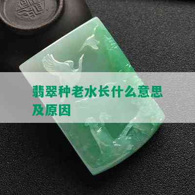 翡翠种老水长什么意思及原因