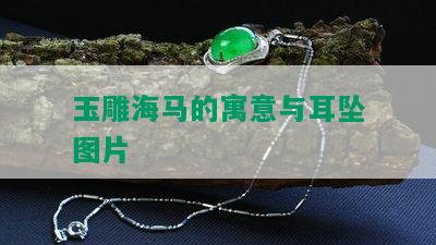 玉雕海马的寓意与耳坠图片