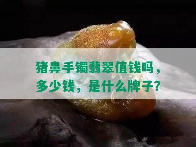 猪鼻手镯翡翠值钱吗，多少钱，是什么牌子？