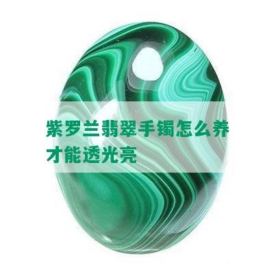 紫罗兰翡翠手镯怎么养才能透光亮