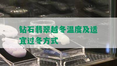 钻石翡翠越冬温度及适宜过冬方式