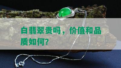 白翡翠贵吗，价值和品质如何？