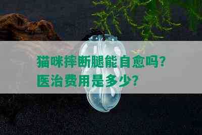 猫咪摔断腿能自愈吗？医治费用是多少？