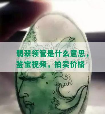 翡翠领管是什么意思，鉴宝视频，拍卖价格