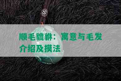 顺毛貔貅：寓意与毛发介绍及摸法