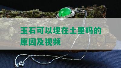 玉石可以埋在土里吗的原因及视频