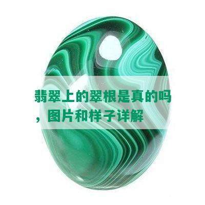 翡翠上的翠根是真的吗，图片和样子详解