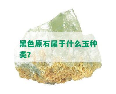 黑色原石属于什么玉种类？