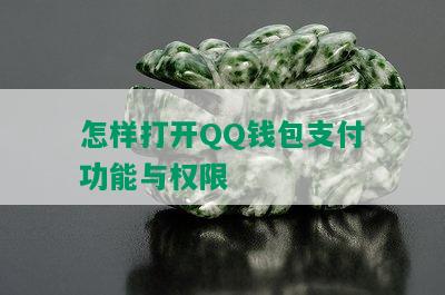 怎样打开QQ钱包支付功能与权限