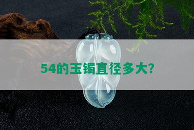 54的玉镯直径多大？