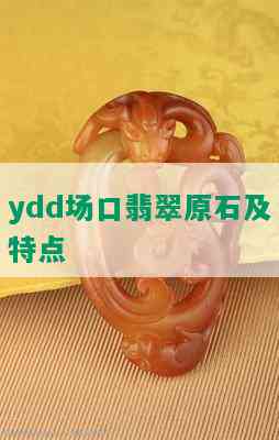 ydd场口翡翠原石及特点