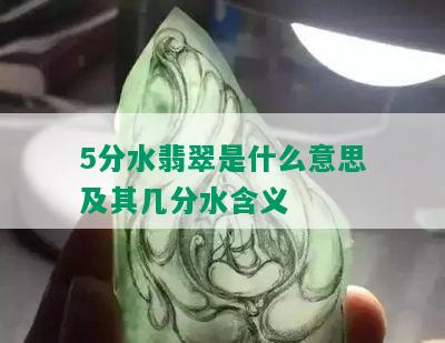 5分水翡翠是什么意思及其几分水含义