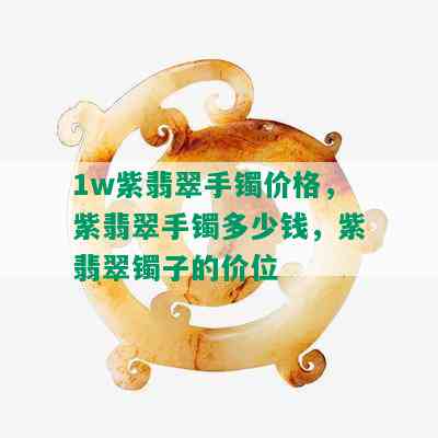 1w紫翡翠手镯价格，紫翡翠手镯多少钱，紫翡翠镯子的价位