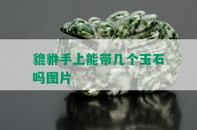 貔貅手上能带几个玉石吗图片