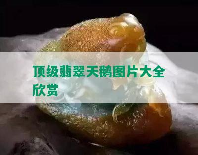 顶级翡翠天鹅图片大全欣赏