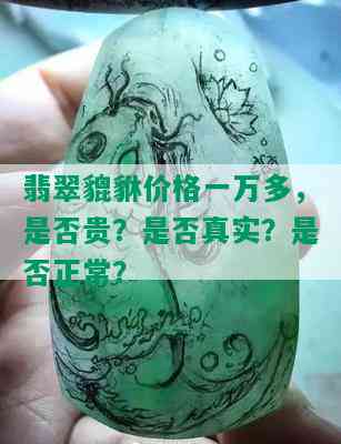 翡翠貔貅价格一万多，是否贵？是否真实？是否正常？