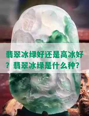 翡翠冰绿好还是高冰好？翡翠冰绿是什么种？